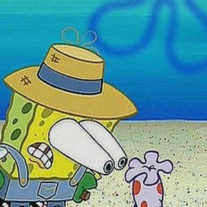 Meet your Posher, Ivy